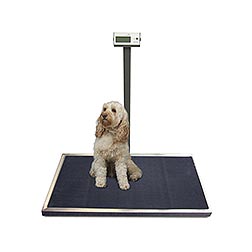 Midmark Digital Veterinary Scale